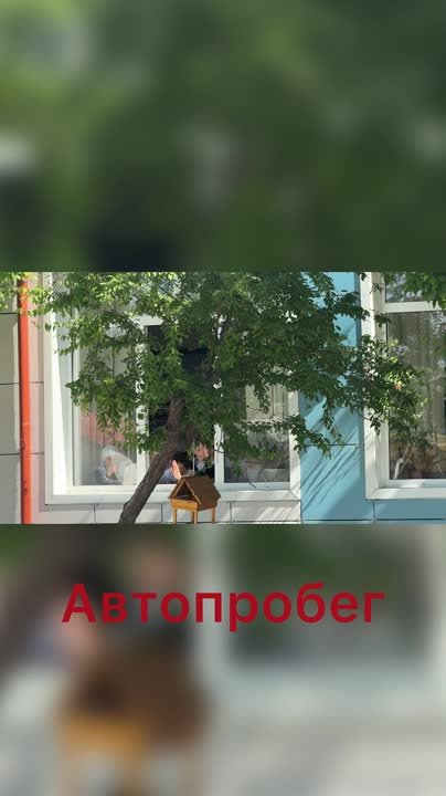 Автопробег!.